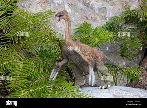 Therizinosaurus fossils hi-res stock photography and images - Alamy