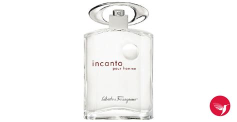 Incanto Pour Homme Salvatore Ferragamo A