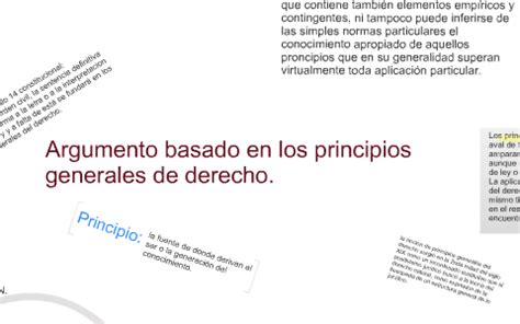 Argumento Basado En Los Principios Generales De Derecho By ERIKA ROMO