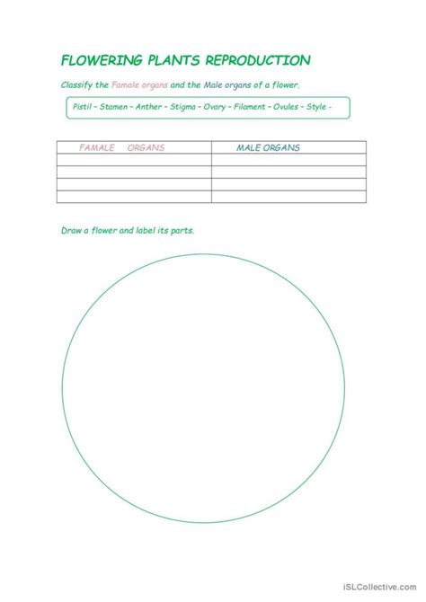 Reproduction In Flowering Plants Worksheet Answers Home Alqu