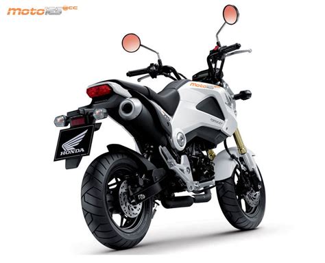 Novedad Honda MSX 125 Moto125