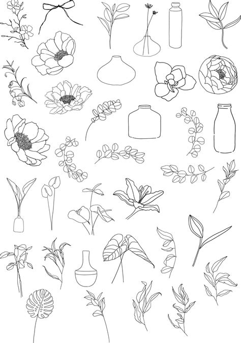 flower line art collection 10802978 Vector Art at Vecteezy