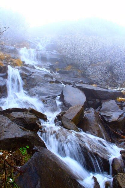 Agua Cayendo De Una Cascada Entre Piedras Foto Premium