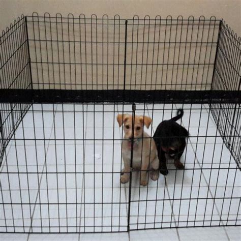 Pagar Besi Anjing Puppy Fence Kadang Pagar Hewan Perlengkapan Hewan