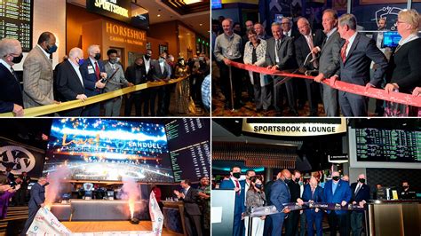 Legal US Sports Betting Sees 125 4B Handle And 8 8B Sportsbook