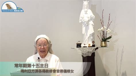 每日聖言分享 【常年期第十五主日 路 1025 37】 瑪利亞方濟各傳教修會官德儀修女 Youtube