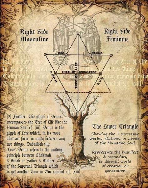 126 Best King Solomon Seals Images On Pinterest Alchemy Magick And