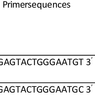 Showed the used primers and their specificities in ARMS-PCR technique ...