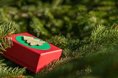 Mysterious Ts In A T Box On The Branches Of The Christmas Tree On