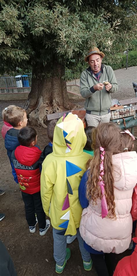 Alla Scuola Primaria Alberti Di Lastra A Signa La Piantagione Del Bosco