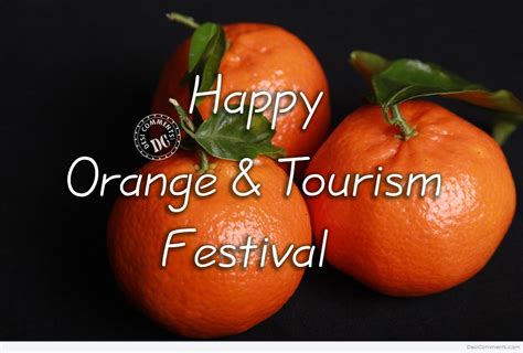 10+ Orange And Tourism Festival Images, Pictures, Photos | Desi Comments