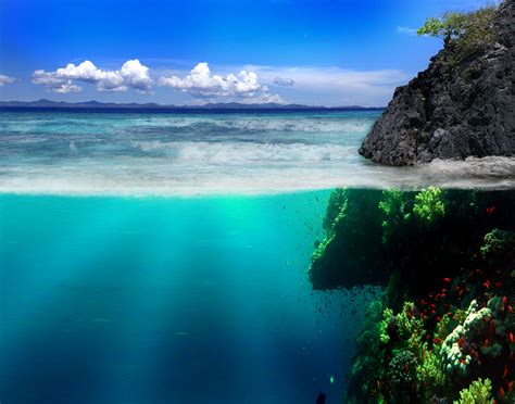 🔥 [50+] Live Underwater Wallpapers for PC | WallpaperSafari