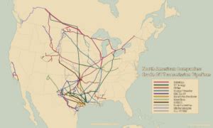 The Longest And Most Profitable Crude Oil Pipeline Companies Sounding