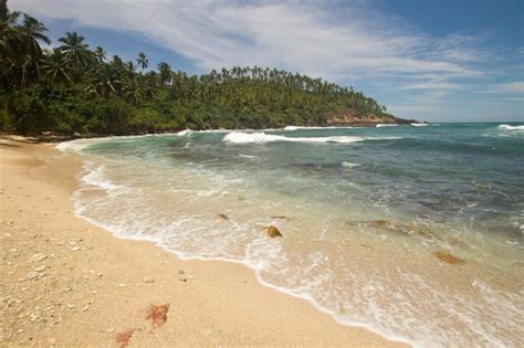 Praia de areia paradisíaca ao sul do sri lanka Foto Premium