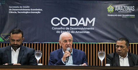 Zfm Codam Aprova Plano Da Chinesa Byd Para Bateria De Nibus El Trico