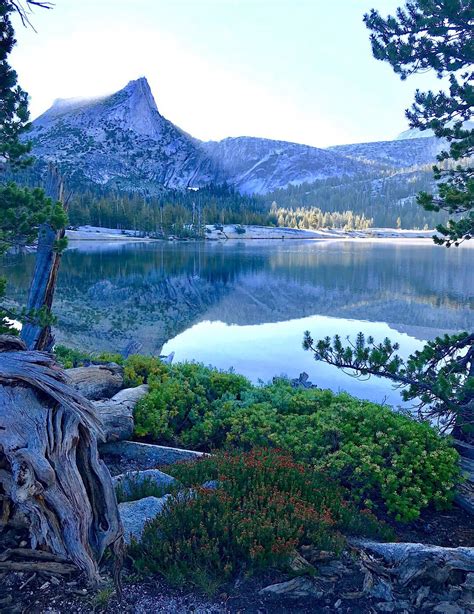 Cathedral Lakes At Sunrise Yosemite National Park Usa [1080 X 1400][oc] R Earthporn