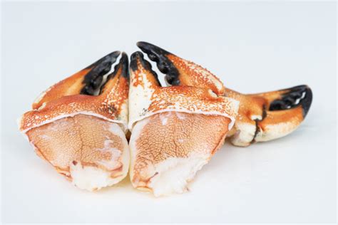 How To A Quick Jonah Crab Claw Guide Atlantic Crab And Seafood