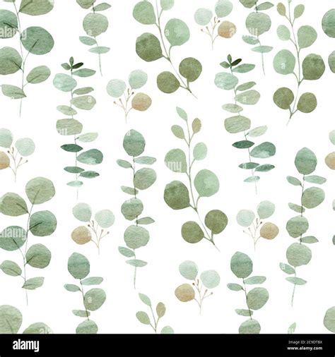 Eucalyptus Watercolor Seamless Pattern Hand Painted Greenery Digital