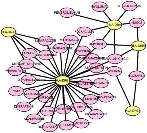 Drug Gene Interaction Diagram The Yellow Circle Indicates The Related