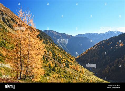 In the tyrolean alps hi-res stock photography and images - Alamy