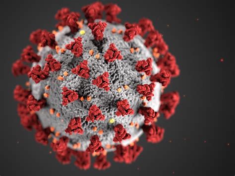 Coronavirus 36 Nuovi Casi In Svizzera SWI Swissinfo Ch