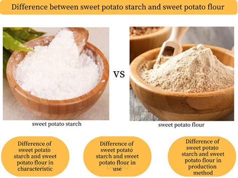 What Is The Difference Between Sweet Potato Starch And Sweet Potato