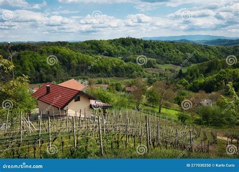 hrvatsko zagorje aerial view  bednja river valley  bela citadel