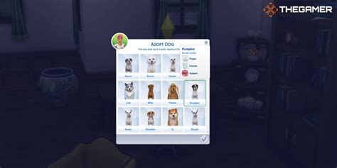 How To Adopt A Pet In The Sims 4: Cats & Dogs