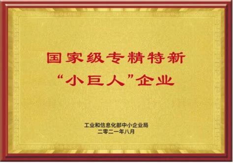 专精特新认定专精特新小巨人企业代办申报条件材料流程奖励政策 潮盛专精特新咨询网