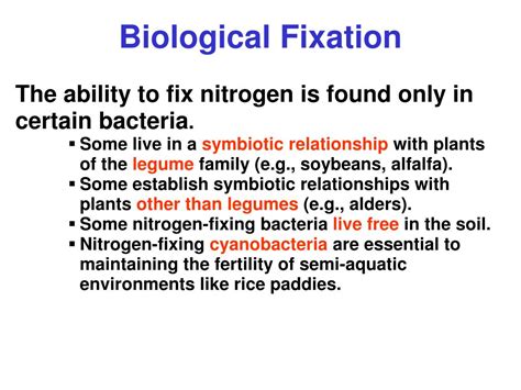 Ppt Nitrogen Fixation Powerpoint Presentation Free Download Id4437387