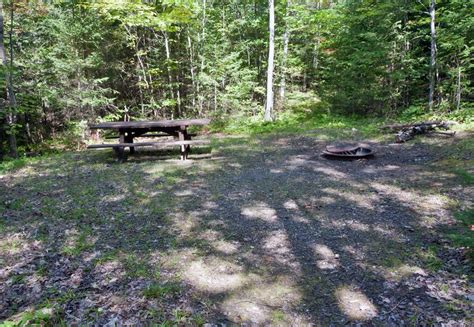 Peshtigo River Trail Photo, Wisconsin Trail Guide