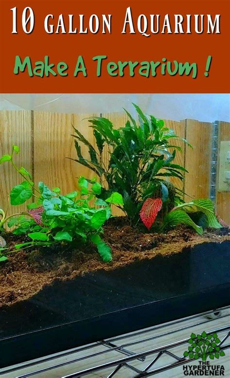 Convert An Old Aquarium To A Terrarium Fish Tank Terrarium