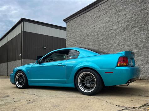 Stephanie's 2004 Mustang Cobra SVT