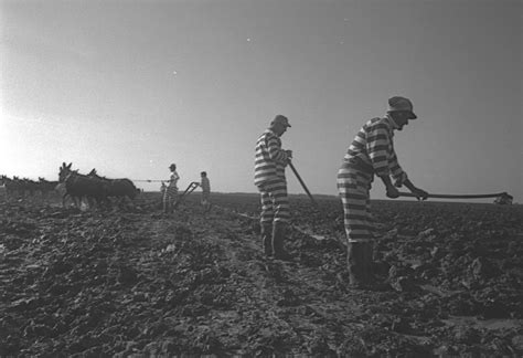 Convict Leasing And Chain Gangs Mississippi Encyclopedia