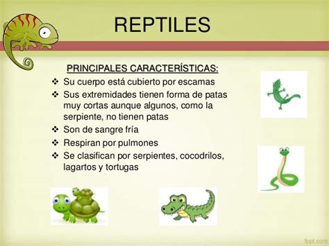 Cuadros comparativos características diferencias y similitudes entre