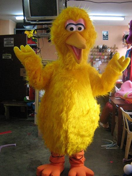 Big Bird Costumes (for Men, Women, Kids) | PartiesCostume.com