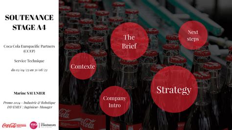 Soutenance Stage A4 By Marine Saulnier On Prezi