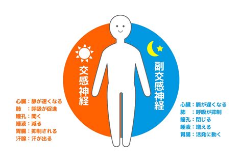 自律神経を整えるには。セルフケアを始めよう｜大正健康ナビ｜大正製薬