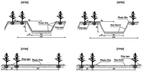 Water Free Full Text Combined Effects Of Mulch And Tillage On Soil