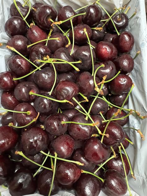 Bellas Fruit Market