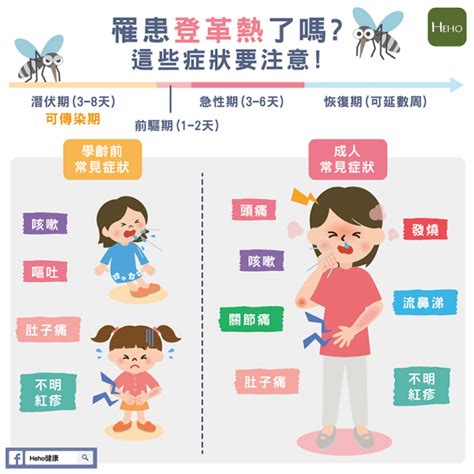 罹患登革熱了嗎這些症狀要注意 Heho健康