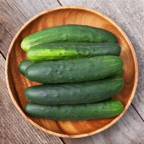 Variety Spotlight - Cucumbers | High Mowing Organic Non-GMO Seeds