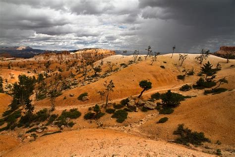 Bryce Canyon Park Narodowy Darmowe Zdj Cie Na Pixabay Pixabay