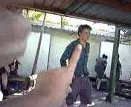 dacking gavin youtube