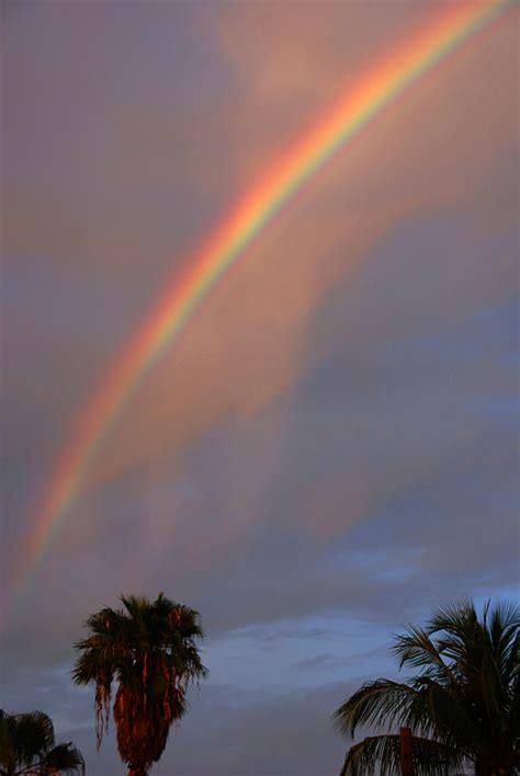 Tropical Rainbow Photograph By Susanne Van Hulst Fine Art America