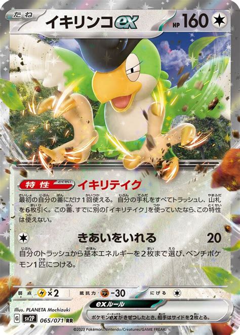 Squawkabilly Ex Snow Hazard 065 071 TCG Collector