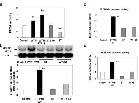 Figure 1 From Protein Tyrosine Phosphatase 1B As New Activator For