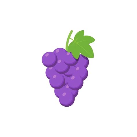 Uvas Moradas Aisladas Sobre Fondo Blanco Ilustraci N Vectorial Vector