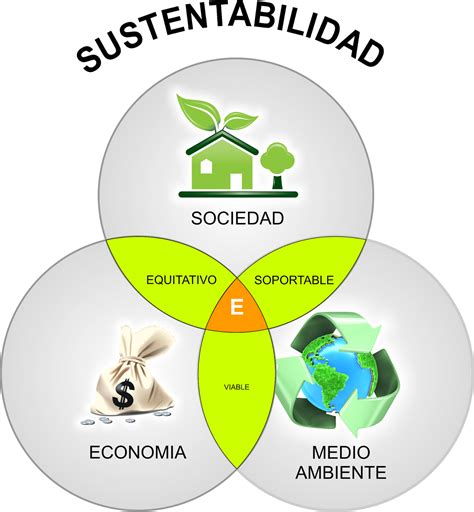 Diferencia entre sustentabilidad y sostenibilidad Cuál es