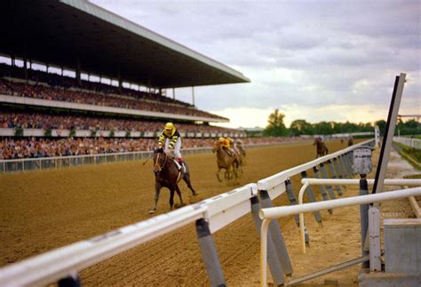 Triple Crown Winners Belmont Stakes